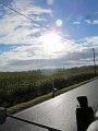 IMG_5449