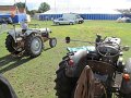 IMG_5502