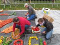 IMG_5593