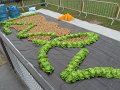 IMG_5595