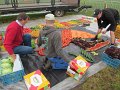 IMG_5600