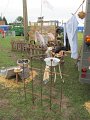IMG_5620
