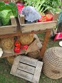 IMG_5665