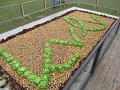 IMG_5710