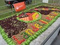 IMG_5711