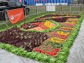 IMG_5717