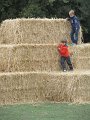 IMG_5719