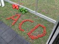 IMG_5730