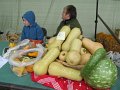 IMG_5741