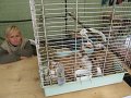 IMG_5745