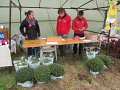 IMG_5754