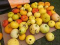 IMG_5761