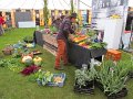 IMG_5766
