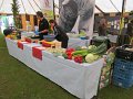 IMG_5779
