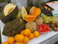 IMG_5781