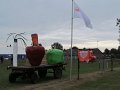 IMG_5796