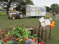 IMG_5810