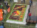 IMG_5845