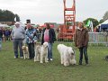IMG_5891