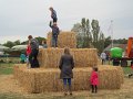 IMG_5908