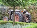 IMG_5980