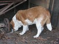 IMG_7329