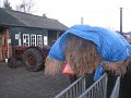 IMG_7335