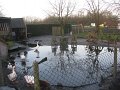 IMG_7354