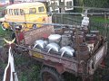 IMG_7360