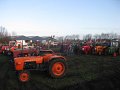 IMG_7489
