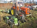 IMG_7528