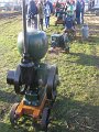 IMG_7541