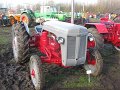 IMG_7566