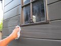 IMG_3780