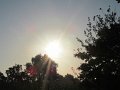 IMG_3785