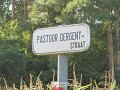 IMG_3810