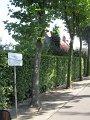 IMG_3847
