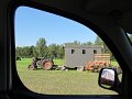 IMG_3947