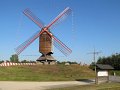 IMG_3955