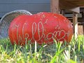 IMG_3973