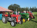 IMG_3988