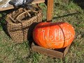 IMG_4054