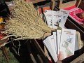 IMG_4059