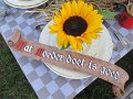 IMG_4076
