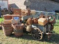 IMG_4239