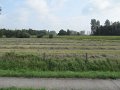 IMG_4895