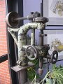 IMG_9013