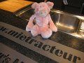 IMG_9254
