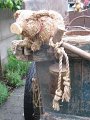 IMG_5610