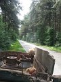 IMG_5630